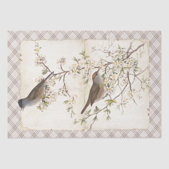 Birds on Flowering Branch Parchment Diamonds Tissue Paper (Front)