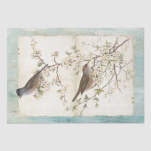 Birds on Flowering Branch Parchment Teal Oil Paint Tissue Paper