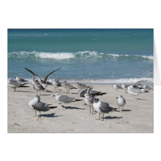 birds on ocean beach