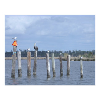 Birds on Posts in Lake Photo Print