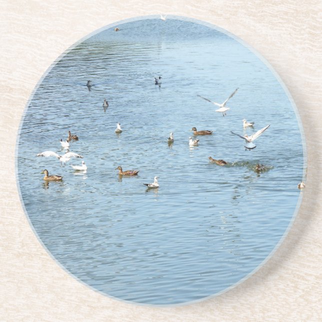 Birds On Summer River Coaster (Front)
