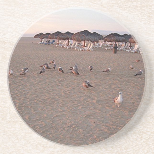 Birds on the beach in Cabo Coaster (Front)