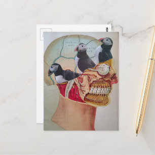 Birds on the Brain Surreal mixed media collage Postcard
