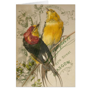 Birds on Vintage Photo Back