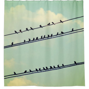 Birds on wires, vintage blue sky.