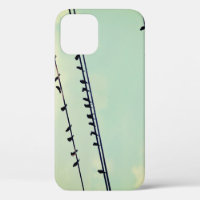 Birds on wires, vintage blue sky.
