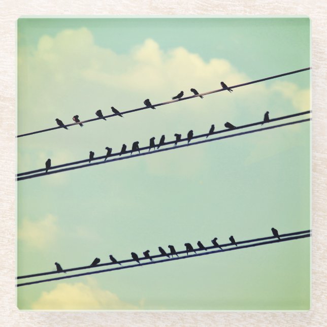 Birds on wires, vintage blue sky. glass coaster (Front)