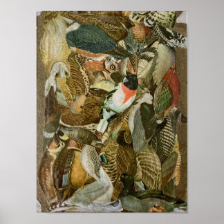 "Birds"- paper collage Poster