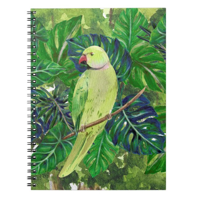 birds , parrots notebook (Front)
