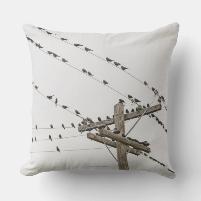 Birds perched on wires throw pillow (Front)