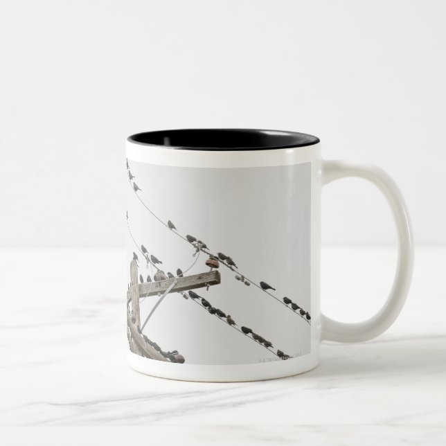 Birds perched on wires Two-Tone coffee mug (Right)