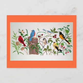 Birds Postcard