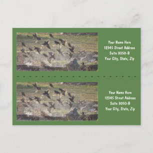 Birds Rising Bookmarkers - Customize! Postcard