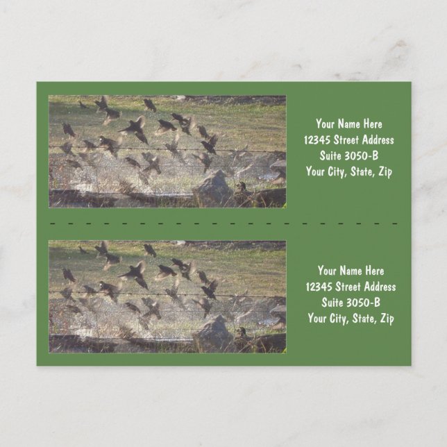 Birds Rising Bookmarkers - Customize! Postcard (Front)