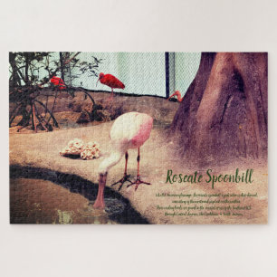Birds Roseate Spoonbill Jigsaw Puzzle