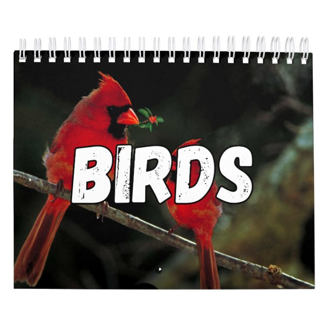 Birds Showcase Collection Wall Calendrier (Protection)