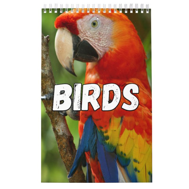 Birds Showcase Collection Wall Calendrier (Protection)