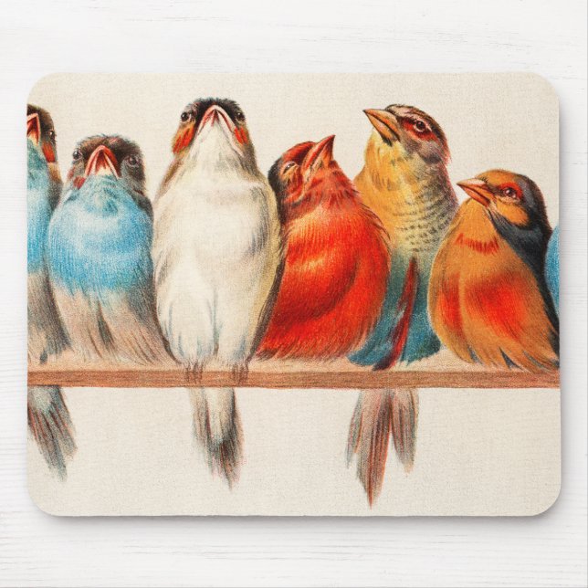 Birds Sitting Pretty and Calm Mouse Pad (Front)