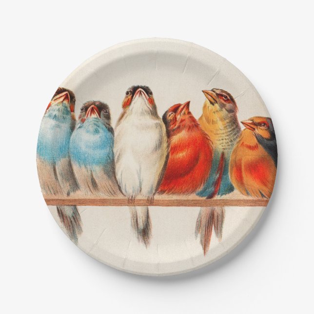 Birds Sitting Pretty and Calm Paper Plate (Front)