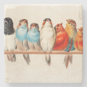Birds Sitting Pretty and Calm Stone Coaster