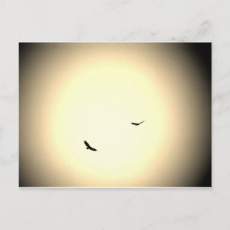 birds soaring free in the sky postcard