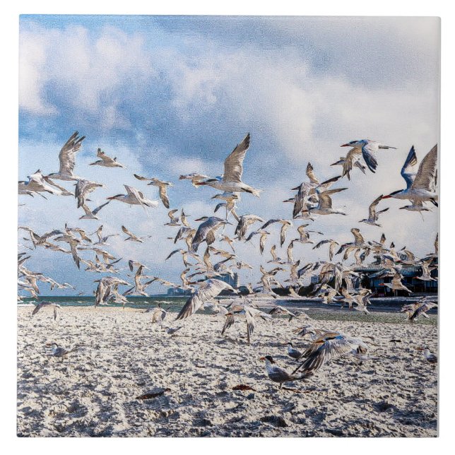 Birds soaring  tile (Front)