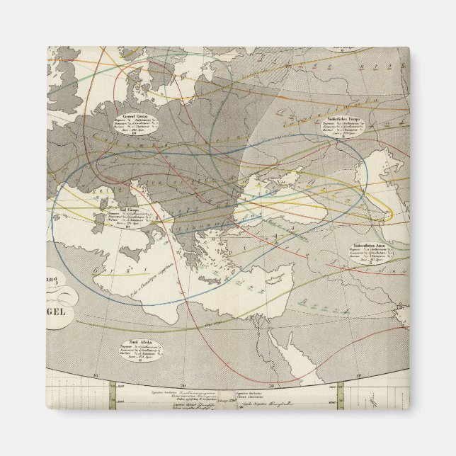 Birds throughout Europe Magnet (Front)