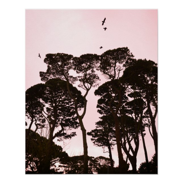 Birds Trees Looming Poster (Front)