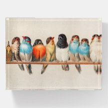 Birds vintage illustration