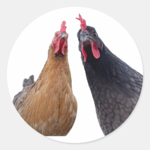 Birds with Attitude Sticker