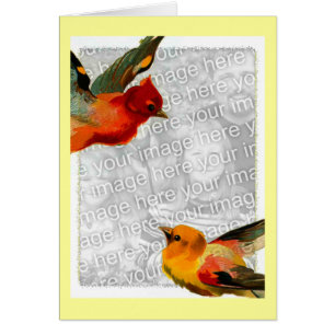 Birds, Your Photo Here