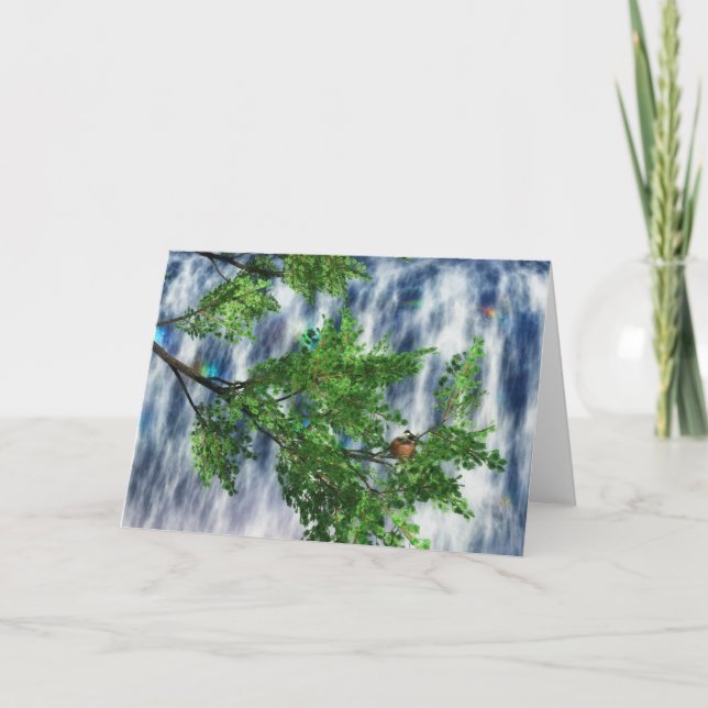 Birdsnest Falls Card (Front)