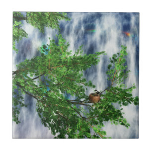 Birdsnest Falls Decorative Tile / Trivet