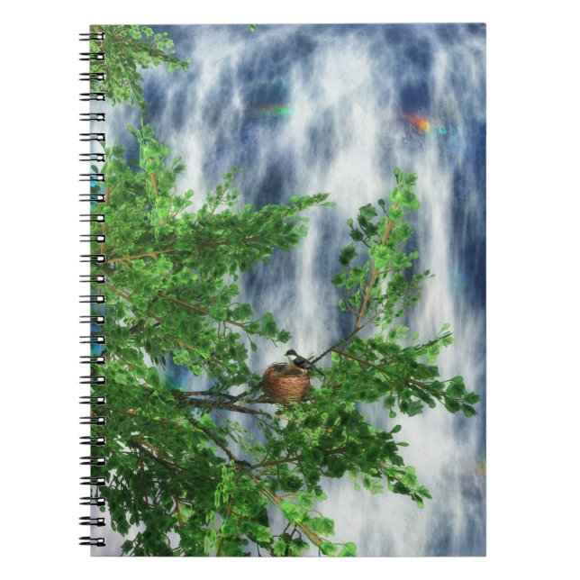 Birdsnest Falls Notebook (Front)