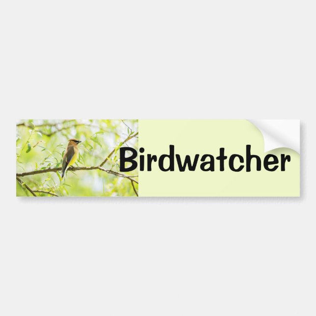 Birdwatcher Bumper Sticker (Front)
