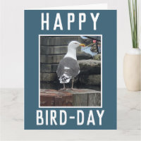 Birdwatcher or Birding Enthusiast Birthday