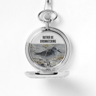 Birdwatching Hobby Beach Bird Coastal Birdwatcher Watch