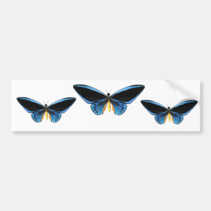 Birdwing Butterfly Bumper Sticker