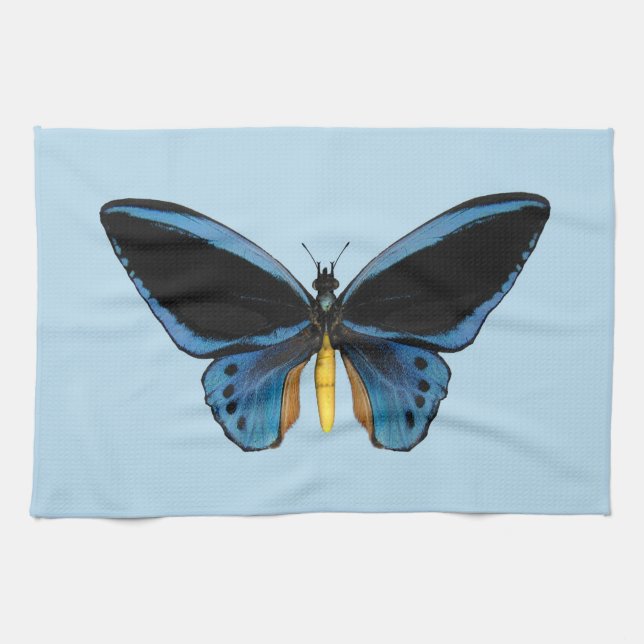 Birdwing Butterfly Kitchen Towel (Horizontal)