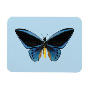Birdwing Butterfly Magnet