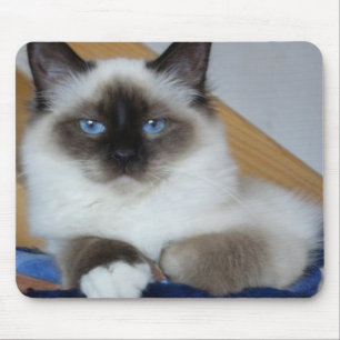 birman 2.png mouse pad