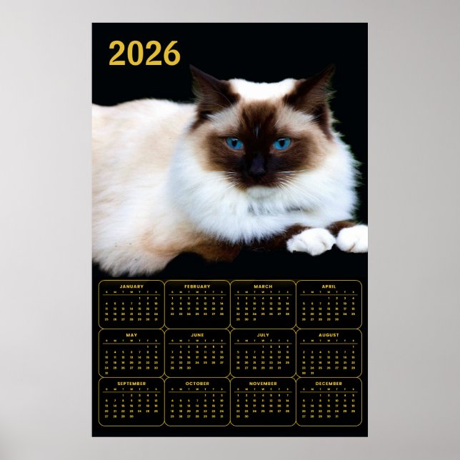 Birman Cat 2026 Calendar  Poster (Front)
