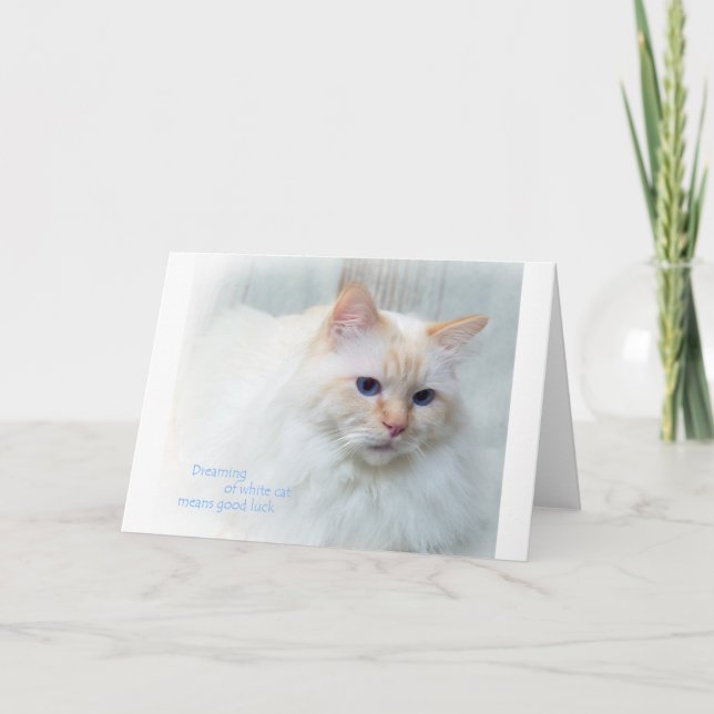 Birman Cat Card (Front)