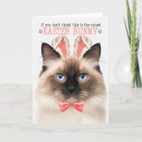 Birman Cat in Bunny Ears for Easter