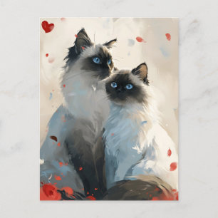 Birman Cats Valentine's Day Postcard