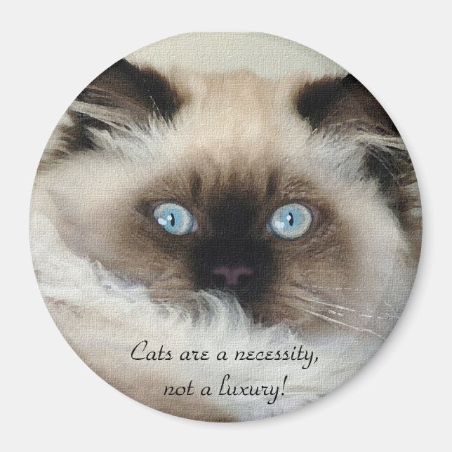 Birman - Ragdoll Magnet Amoureux des chats (Devant)