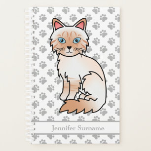Birman/Ragdoll Tabby Point Rouge Et Pattes & Texte