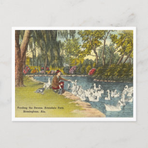 Birmingham Alabama Vintage Avondale Park Postcard