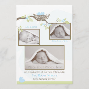 Birth Announcement - Baby Boy