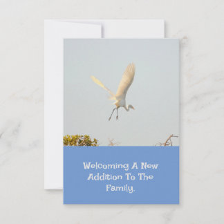 Birth Announcement With Flying Stork.
